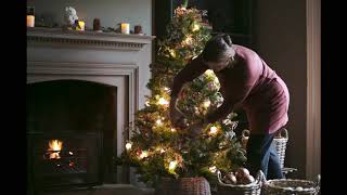 Beautiful Christmas Tree by Bloom