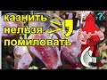 Эти формы трещат без дождя(.