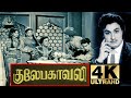 Gulebakavali Full Movie 4K Ultra HD | M. G. Ramachandran | T. R. Rajakumari | Rajasulochana