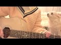 【定期配信】雑談弾き語り！