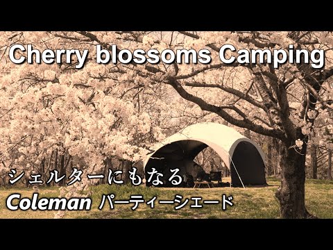 キャンプ 春キャンプ コールマン テント|ファミリーキャンプで人気のキャンプ場 グリーンパーク山東 パーティーシェードライト/360+