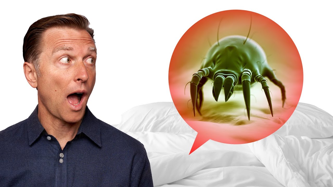 Millions Of Microbes Are Living In Your Mattress