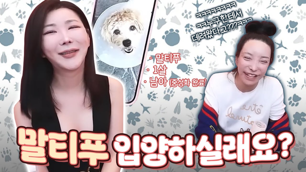 사식 먹으러 간 큰 손 손님의 아이를 맡게 된 가비ㅋㅋ 무료 분양 받으실 분 계신가요? (진.지)