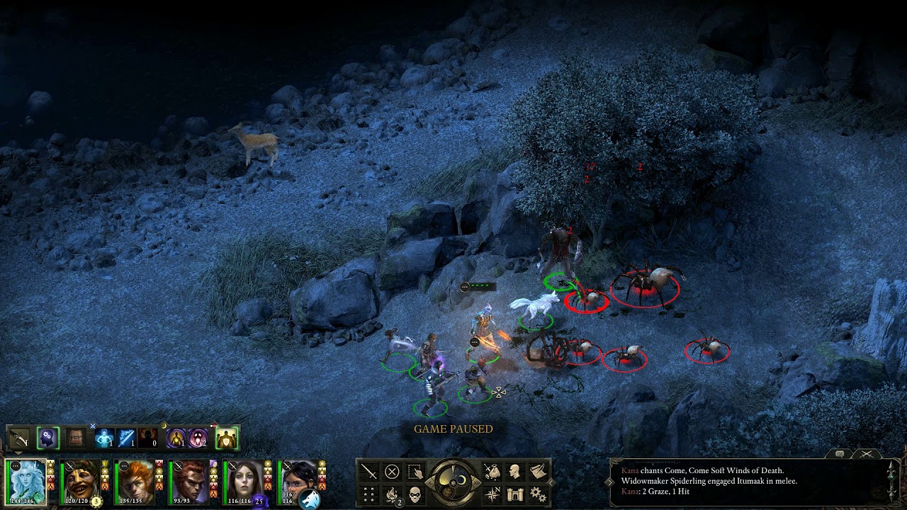 Pillars of Eternity Good Playthrough in Hard (HD) - Widowmaker Spiders at Dyrford Crossing