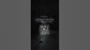 ياسر الدوسري سورة الأنبياء قالوا من فعل هذا بالهتناإنه لمن الظالمين