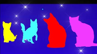 My Name Is Cute Family Cats Version - Parody D Billions