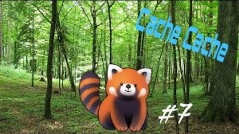 Cache Cache  sur Minecraft : sur la map foret épisode 7