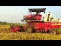 Mahindra Arjun Novo 605 Balkar box field speed cutting in paddy hard work