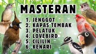 Download lagu 🔴 MUDAH MASUK DONGKRAK TEMBAKAN BESSET ‼️MASTERAN ISIAN MURAI BATU GACOR