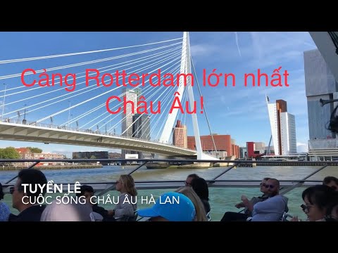 Video: Làm Thế Nào để đến Lễ Hội Cảng Rotterdam
