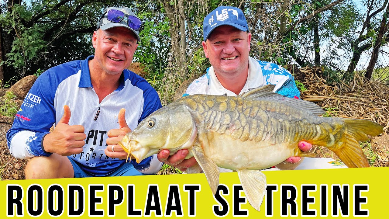 Roodeplaat se treine! (Saam met Barend Breedt en Pieter Bouwer)