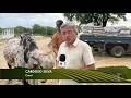 InterTV Rural - 31/5/2026 - 53º edição da ExpoSeridó, em Caicó, movimenta a economia rural do Seridó