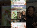 ゾウムシには「ベニカＸファイン（スプレー）」か「ベニカＲ」がオススメです！