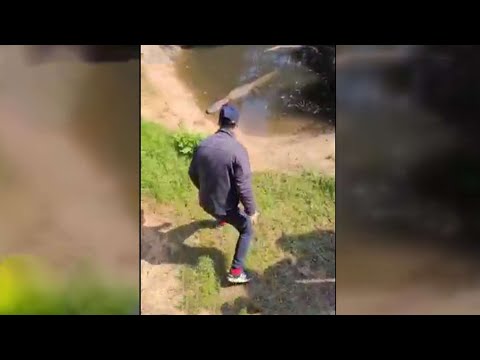 לא ידעתי שזו חיה מהירה הצעיר שנכנס למתחם התנינים בספארי מתנצל 