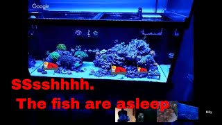 LETS TALK POLYP EXTENSION