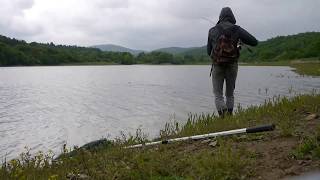 Catfish on Favorite Cobalt Spinning Rod