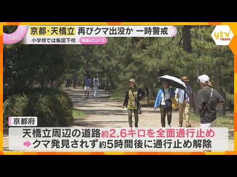 京都「天橋立」でまたクマ目撃か 観光客“身動き取れない” 小学校では集団下校 ２日前には捕獲 - 読売テレビニュース