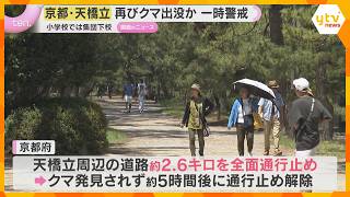 京都「天橋立」でまたクマ目撃か　観光客“身動き取れない”　小学校では集団下校　２日前には捕獲