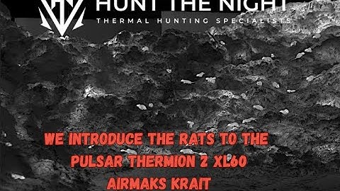 Massive RAT shoot with the Pulsar Thermion 2 XL60, Airmaks Krait at 28 Grain ZAN SLUGS! DESTRUCTION!