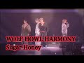 WOLF HOWL HARMONY【Sugar Honey】