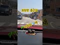 2025.4# 백미현♡아무와 새☆화창한 봄날♡설레이는♧출근길