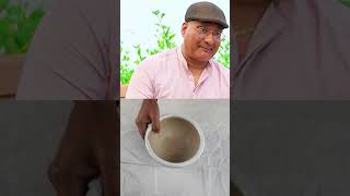 फेफड़ों के संक्रमण को जड़ से ठीक करता है वासा (अडूसा) के पत्तों का रस!