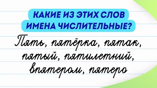 Какие из слов имена числительные? Попробуйте определить | Русский язык