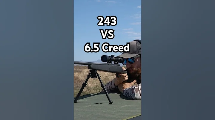 243 VS 6.5 Creedmoor - Which Should You Hunt With? #huntingrifles #deerhunting #hunting