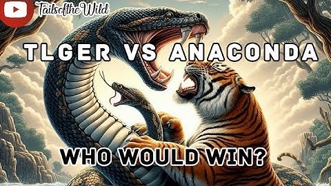 ANACONDA vs TIGER | WHO WOULD WIN? -Animals Fight