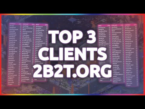 The Best Clients For 2B2T.ORG | Top 3 Clients For 2B2T