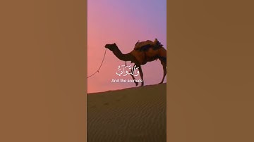 #سورة_الحج|#الشيخ_ياسر_الدوسري