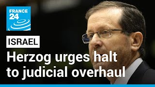 Israel's President Herzog urges halt to judicial overhaul after mass protests • FRANCE 24 English