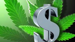 Profits De La Vente Légale De Marijuana Au Canada