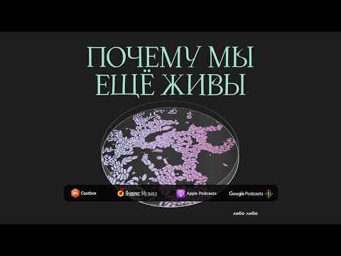 Достойный финал: как появилась паллиативная медицина | Почему мы еще живы