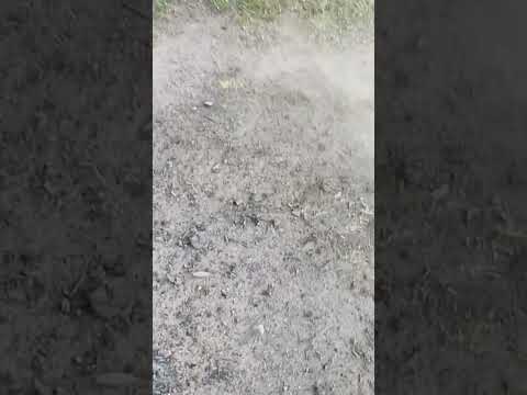 #рекомендации #music #nature #movie #shorts #природа #дым #костёр