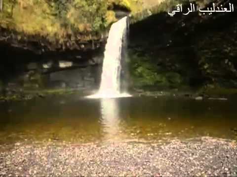 الشيخ عبدالواحد مغربي نونية ابن القيم