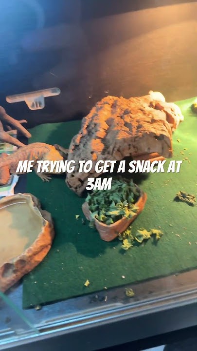 my-trying-to-get-food-at-3am-youtube