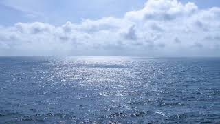 Starlite Generation Covers Let It Be