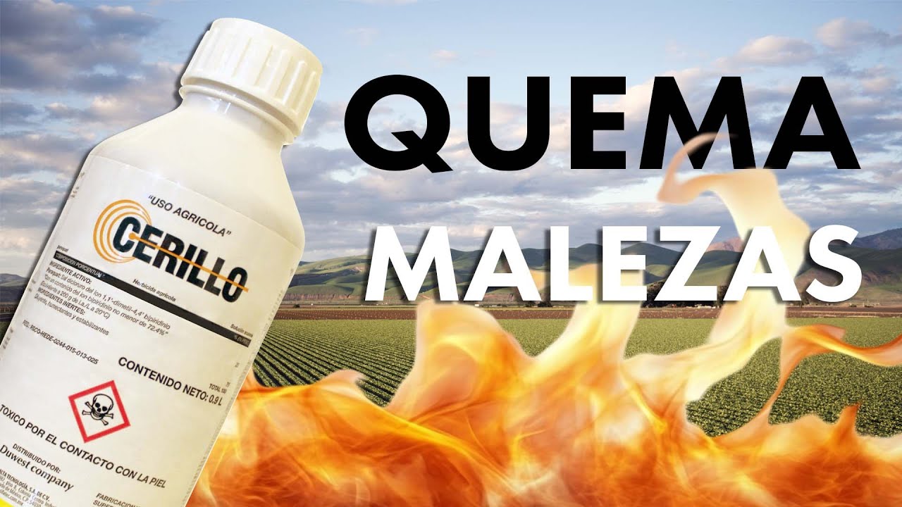 Enciende las Malezas con Cerillo