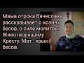 Мама отрока Вячеслава рассказывает о кознях бесов,о силе молитвы Животворящему Кресту.Мат-язык бесов