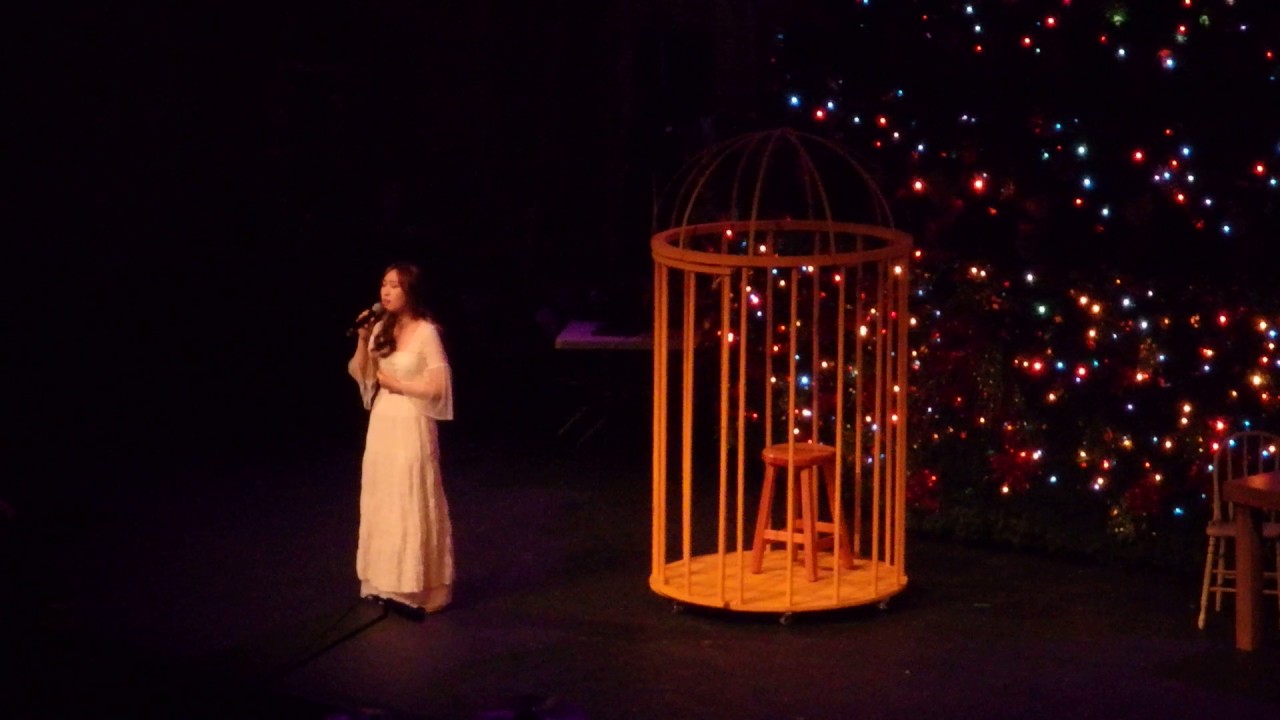 49th Singing Christmas Tree Broadway Church In Vancouver, BC YouTube