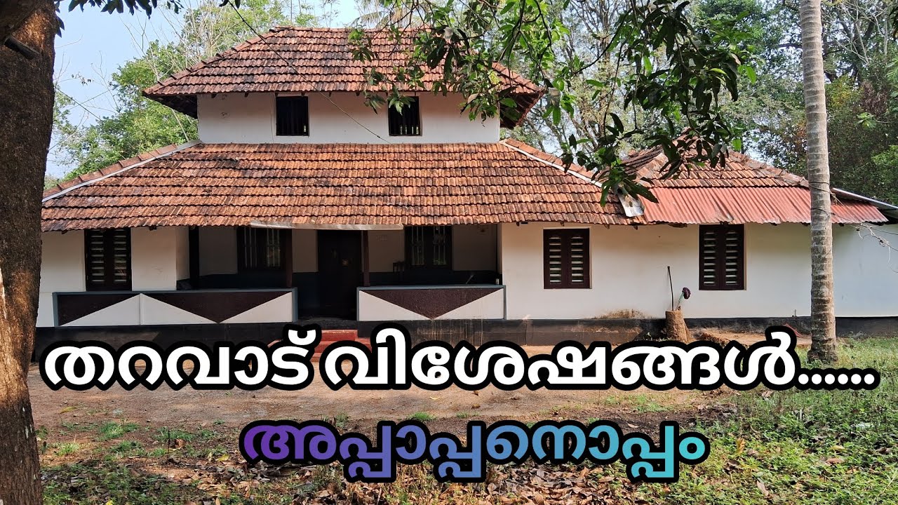 തറവാട് വിശേഷങ്ങൾ 😍😍😍അപ്പനോപ്പം 😊