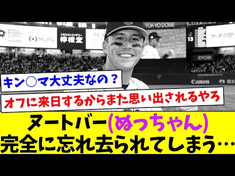 【心配だなぁ…】ヌートバー(ぬっちゃん)完全に忘れ去られてしまう…【なんJ反応】【プロ野球反応集】【2chスレ】【5chスレ】