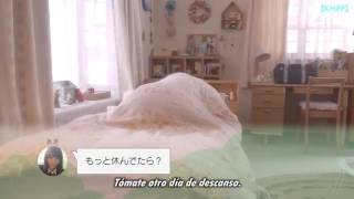 (Sub español) koe koi - [cap 1]dorama japonés