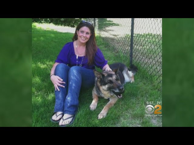 Yankees Honor Camp Pendleton Military Dog Sgt. Rex (Video)