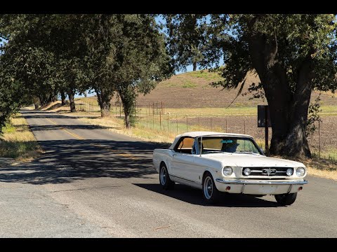 Road Trip to Paso Robles