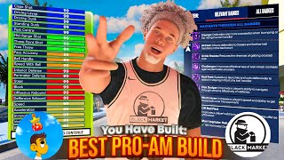 BEST PRO AM PF/BACKEND BUILD on NBA 2K24 SWAGS BLACKMARKET PRO AM BUILD