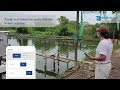 Introducing hydroneo smart farm management system for shrimp farms