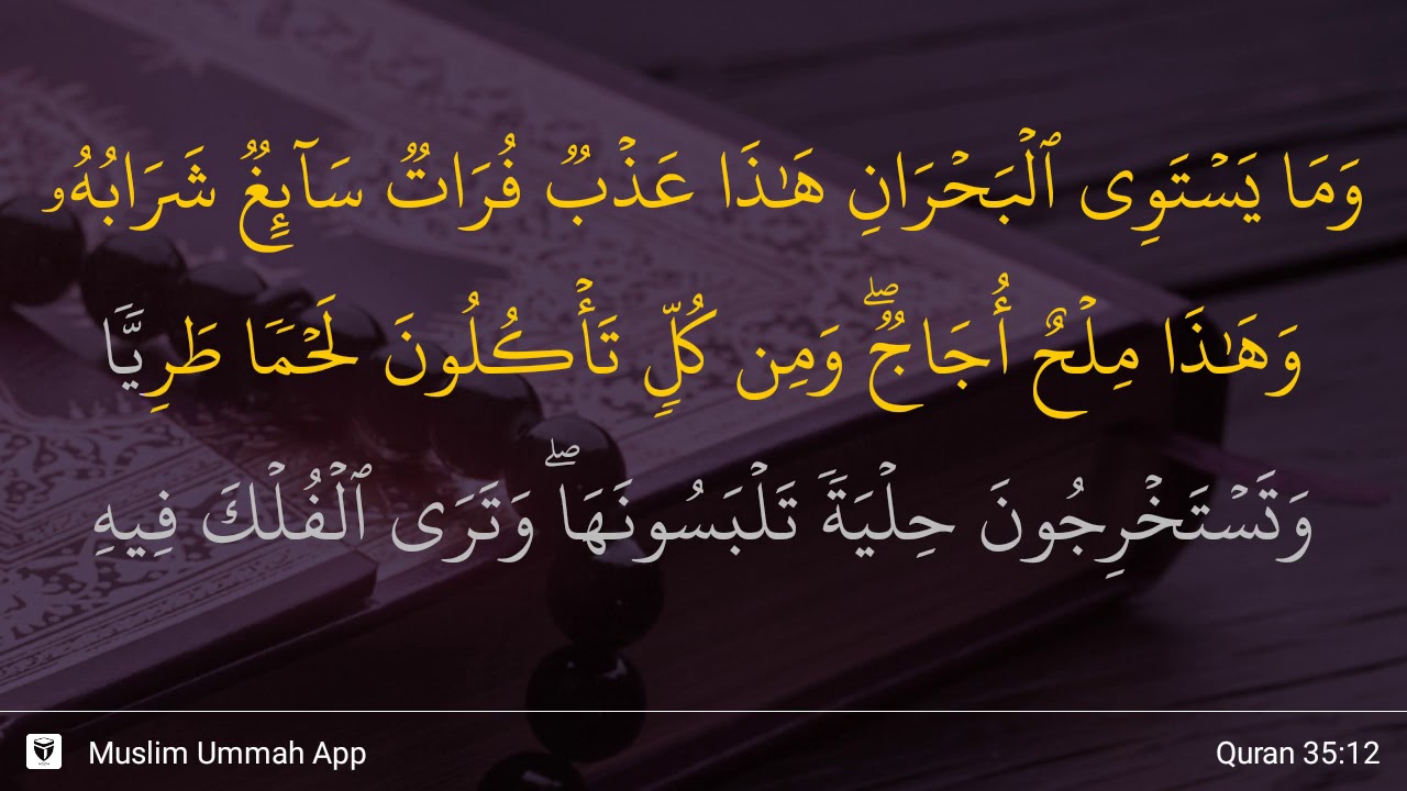 Al Fatir Ayat 12  Al Fatir Ayat 12