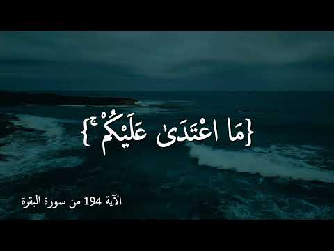 فمن اعتدى عليكم فاعتدوا عليه بمثل ما اعتدى عليكم مشارى راشد